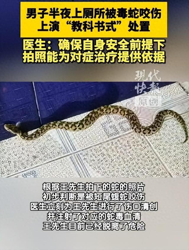 男子上廁所被毒蛇咬傷 淡定拍照自救