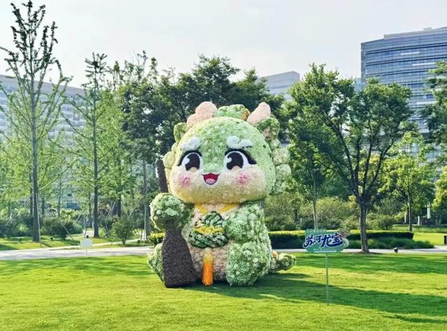 节气里的普陀：夏至风渐盛，万物向阳生
