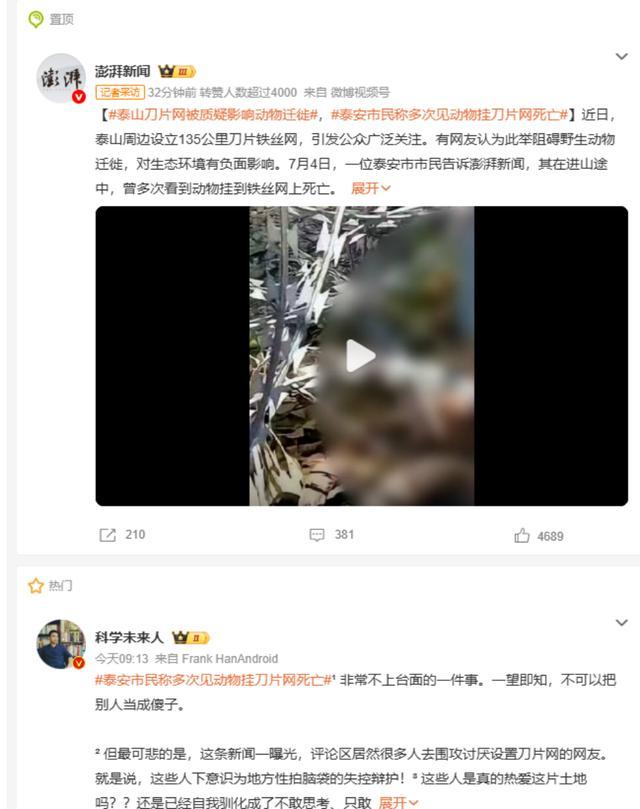 泰安市民多次见动物挂“刀片网”死亡 景区防逃票措施引争议