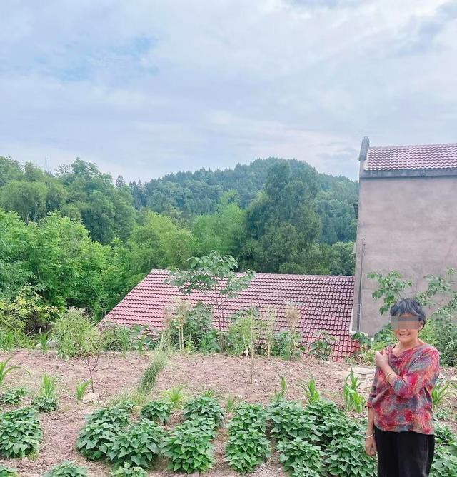 坠亡工人已和母亲姐姐失联超40年 近百万赔偿寻继承人