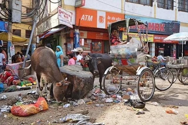 印度博主穷游中国 惊叹街头整洁如新