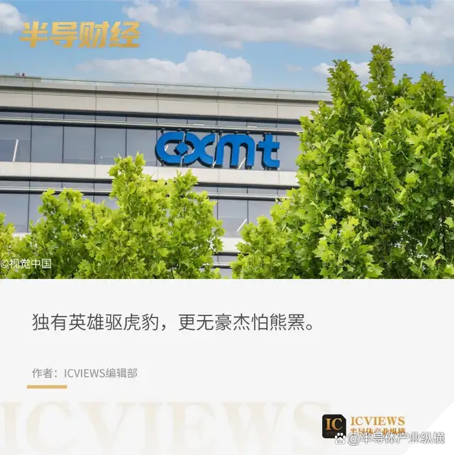 全球存储牌桌上迎来中国玩家
