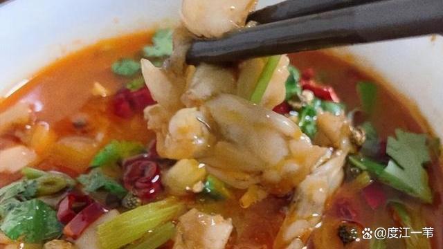 韩路谈牛蛙抗生素