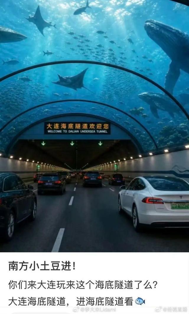 大连湾海底隧道能看到鲨鱼系谣言 网友P图误导公众