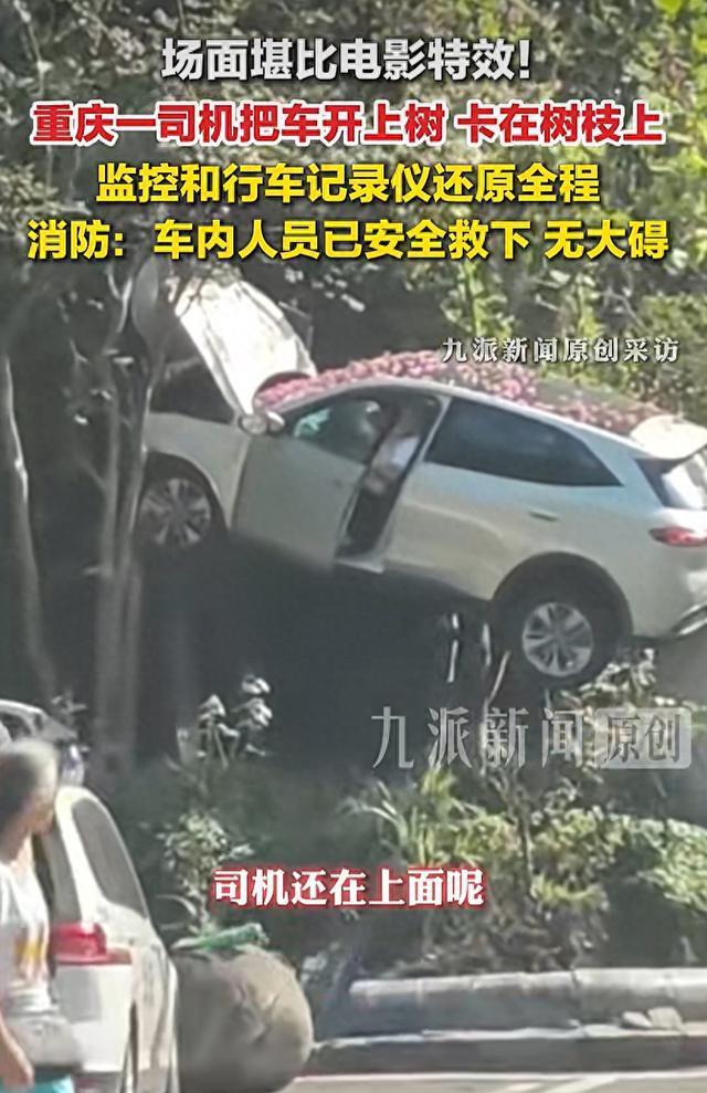 车辆撞马路护坡卡在隧道口树上