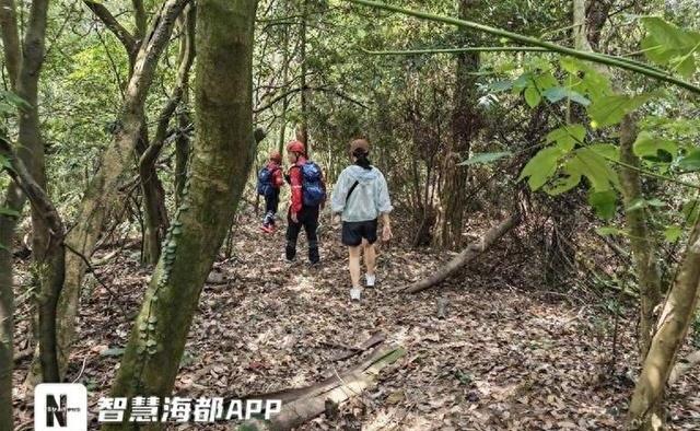 女子误入密林，救援队砍出生命通道