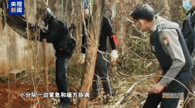 民警进电诈园区取证 带回三具尸体 揭开缅北犯罪真相