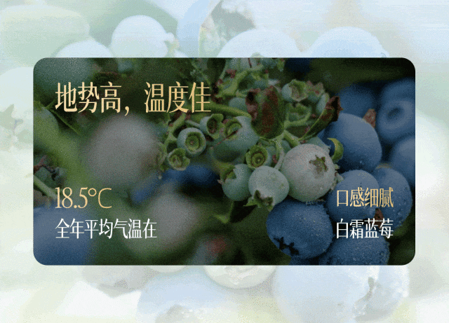 52f1dd6cc330e9ad82b486b188e87ebf.jpg