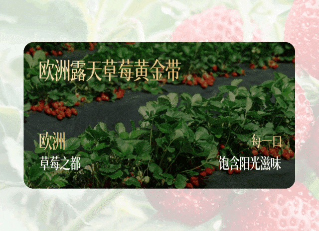 bb3200b7aaefe58cc9364964a2efc728.jpg