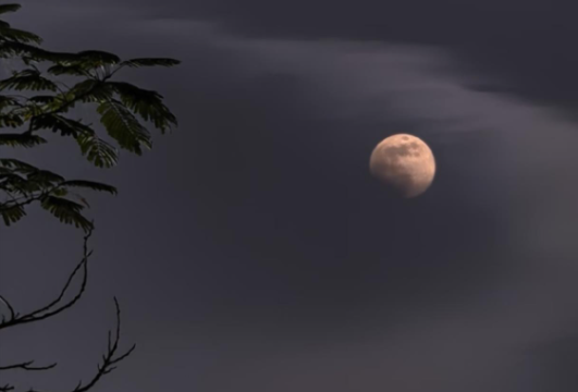 今年最后一次超级月亮看了吗？