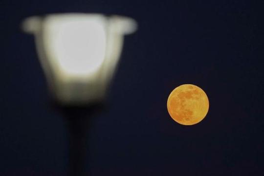 2026首个“超级月亮”现身夜空