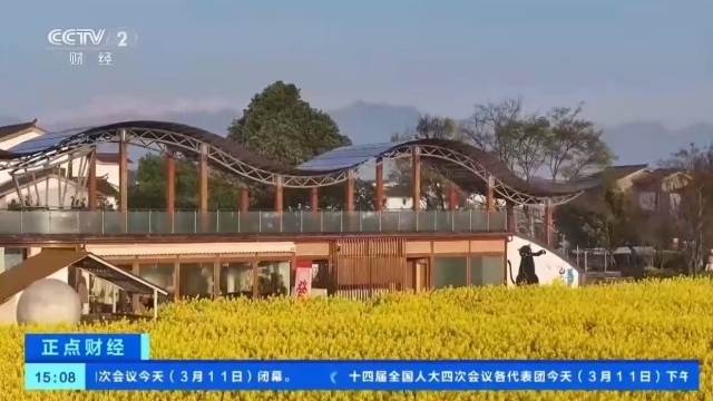 油菜花田里吃火锅 解锁赏花季全新体验