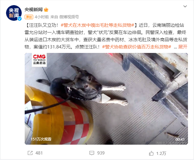 汪汪队立功了！警犬巡逻嗅出484克毒品 网友：加鸡腿！