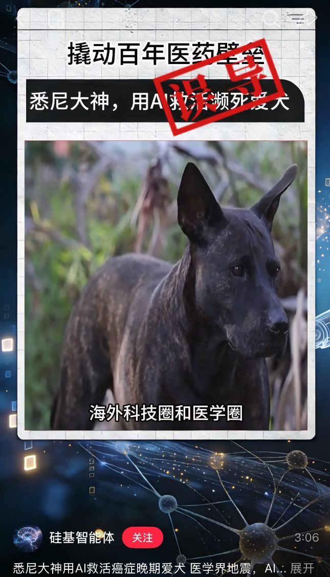 AI真的治好了狗狗的癌症吗？ 情况有些复杂