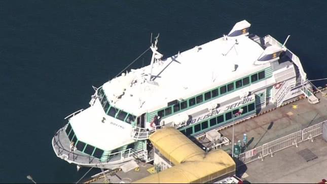 日本海上保安部：日本一船只疑与鲸鱼相撞 造成多人受伤