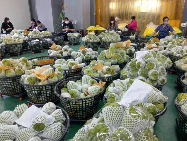 梁文杰抹黑大陆还攻击台湾农产品被批