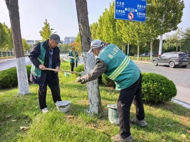 描白裙以御寒冬，梳绿妆而透美景——烟台莱山街头正悄然“焕新”