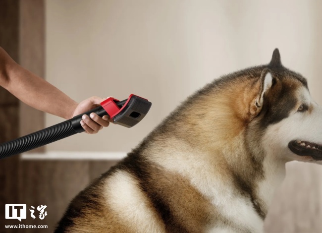 戴森推出 V16 Piston Animal 吸尘器：全新 900W 电机、干湿两用，可打理宠物毛发