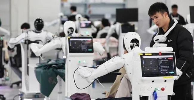 人形机器人的淘汰赛:“一些公司已经不行了”