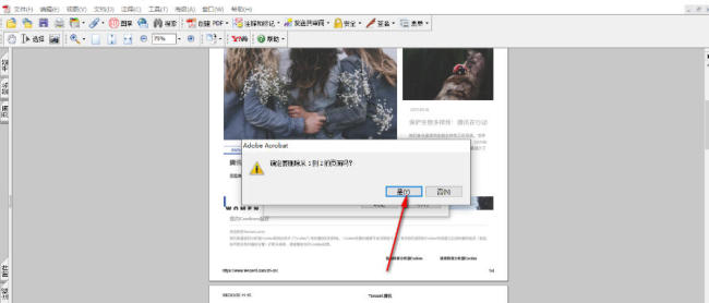 adobeacrobatdc软件怎样使用