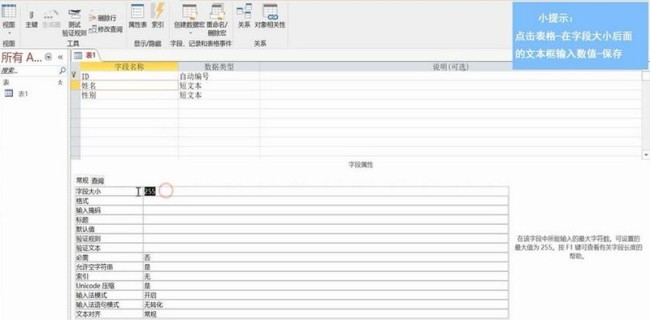 access如何设置字段大小