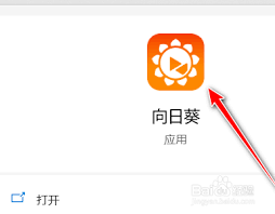 向日葵客户端怎么手动设置代理