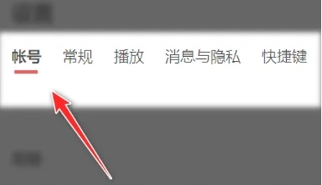 网易云音乐怎么怎么设置字体