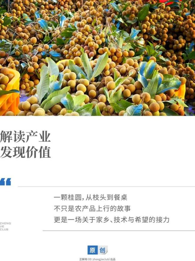 从教室到直播间，一位高校教师的农民梦