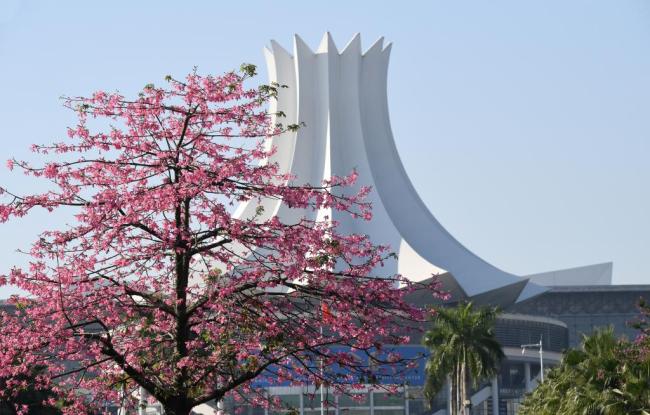 四季皆芳菲,这座城市“人间四月天”全年不打烊