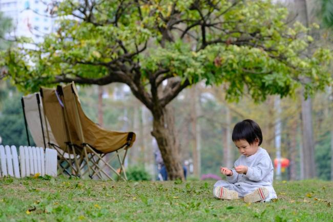 四季皆芳菲,这座城市“人间四月天”全年不打烊