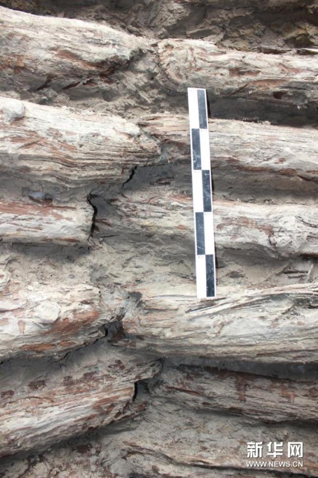 发掘现场 山西发现一口2000余年前的大型木构水井 