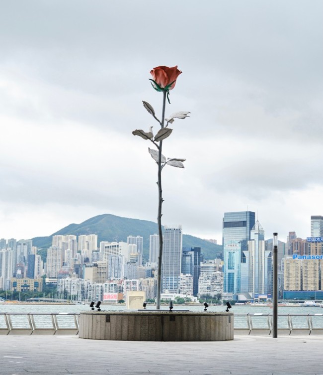 8.5米巨型玫瑰诠释浪漫基因 再筑“品位高地” 