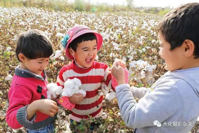 在棉花地玩耍的维吾尔族小朋友  狄多华 摄