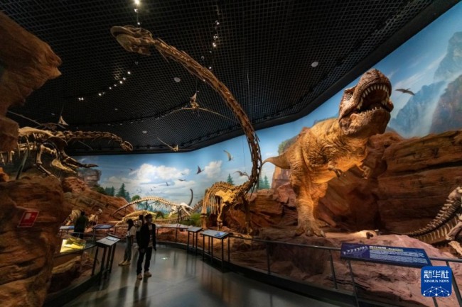 10月13日，游客在澄江化石地世界自然遗产博物馆参观。