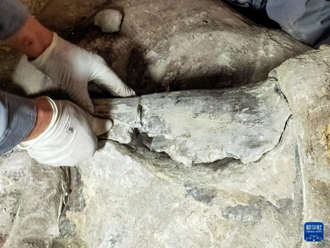 　　修复技师在回贴造像剥落块体（2020年10月26日摄）。新华社记者 唐奕 摄