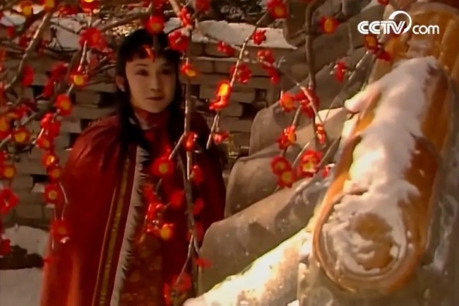 《红楼梦》中有“琉璃世界白雪红梅”一节，图为87版《红楼梦》电视剧截图