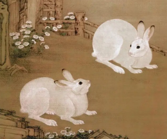 兔兔兔兔兔兔兔……也是个有故事的小动物