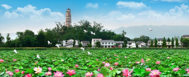 美丽中国2023文旅融合创新发展高峰论坛在杭州成功举办 