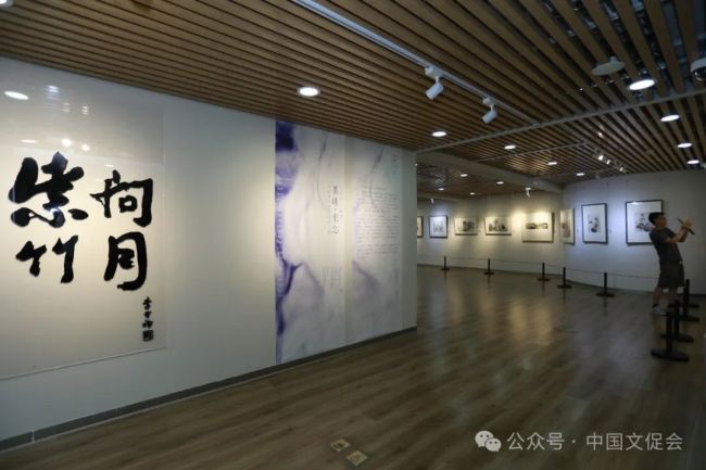 大写意小画展|墨缘·坐忘——现代中国画写意小品展暨研讨会在京举办