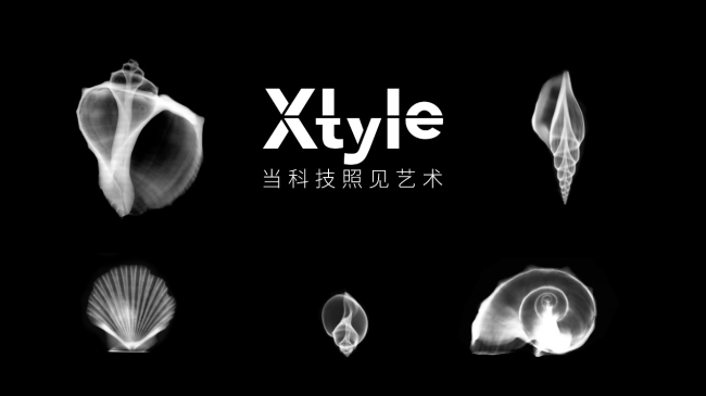 X光拍摄、处理后的海螺与贝壳