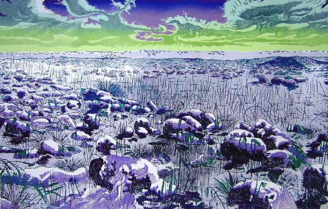 吴静秋《塔头墩子草》木版套色 54×84cm 1999年