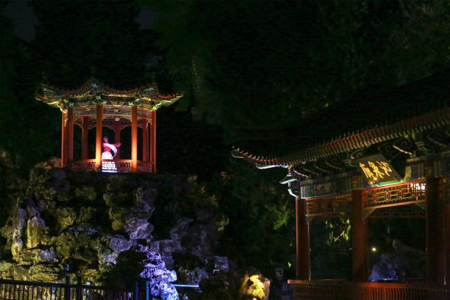 2025北京公园艺术季多家公园“绝活儿”压轴登场