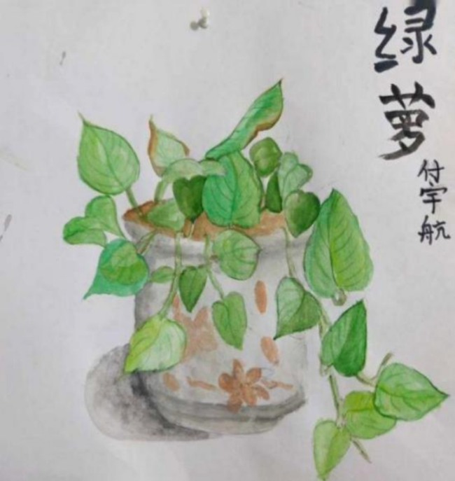 未下天下绸缪师