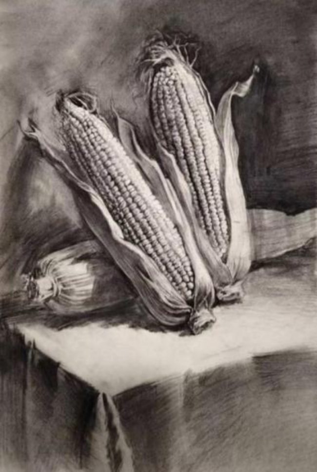 小小科学家 大大设想力