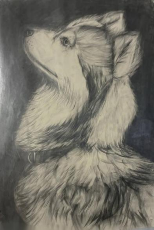 未下天下绸缪师