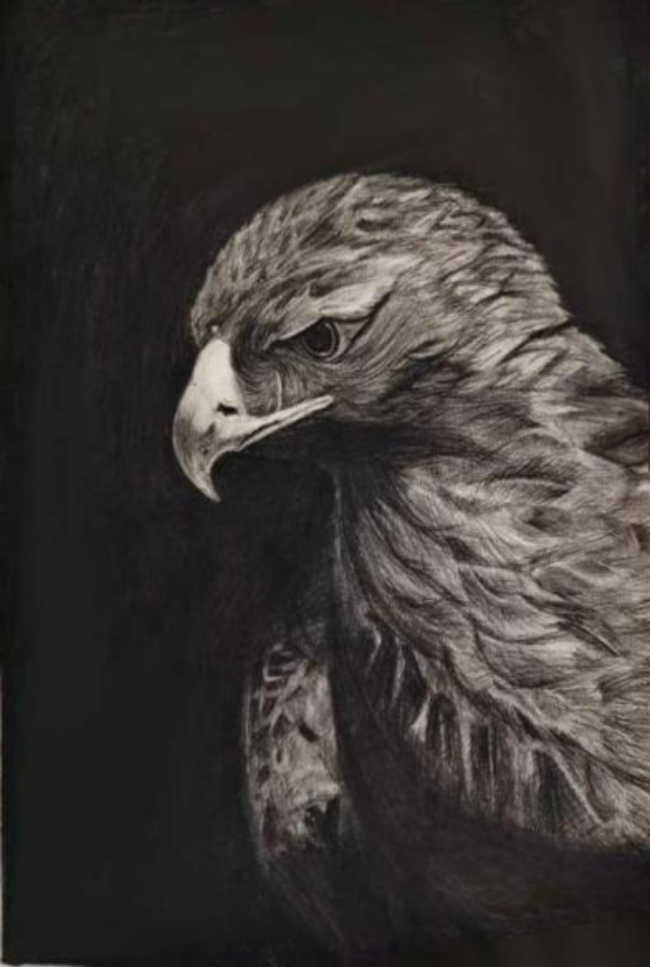 种下一颗科学的种子