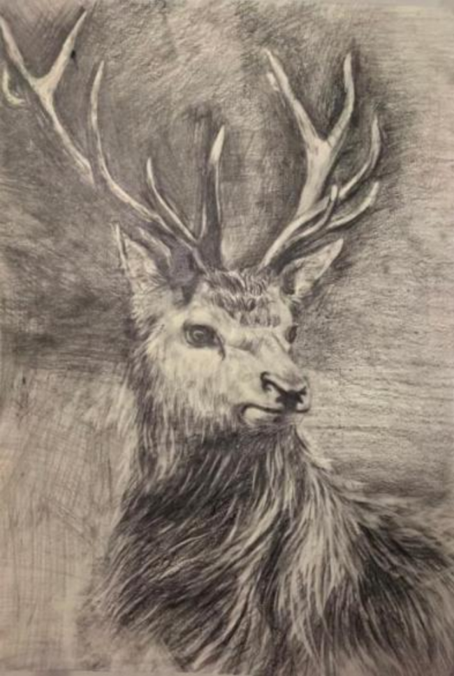 科学与艺术的彩虹桥