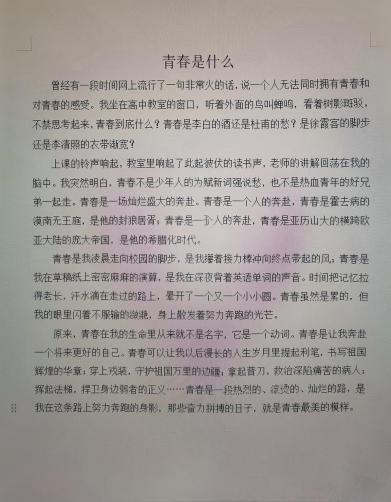 我的奇想妙想札记本