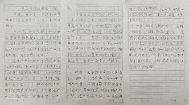 科学与童话的抓手