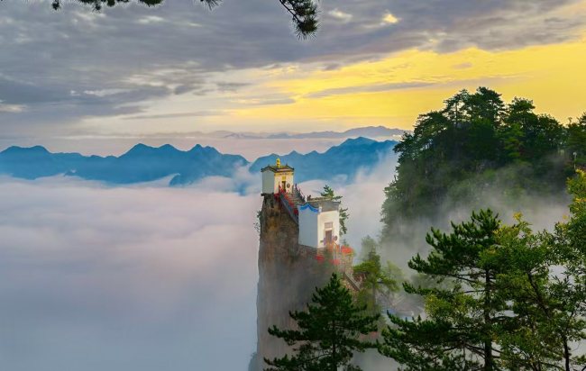 2026木王山杜鹃花季新闻发布会在西安举办